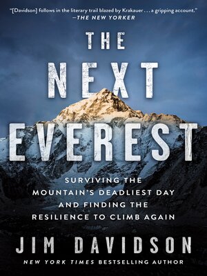cover image of The Next Everest